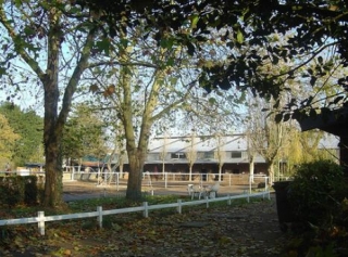  Wooded environment 